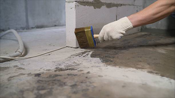 SJ Waterproofing Pros Waterproofing coverage map for Sand Lake, MI and surrounding area